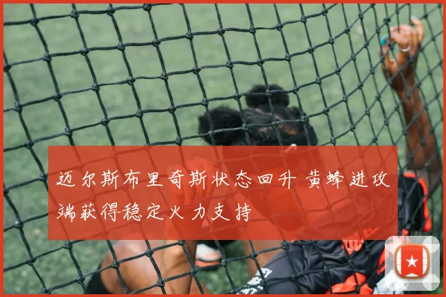 迈尔斯布里奇斯状态回升 黄蜂进攻端获得稳定火力支持