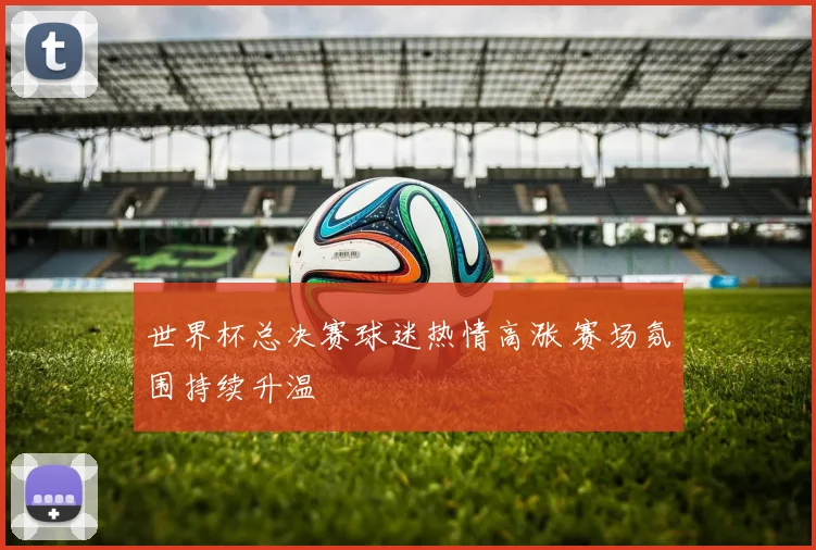 世界杯总决赛球迷热情高涨 赛场氛围持续升温