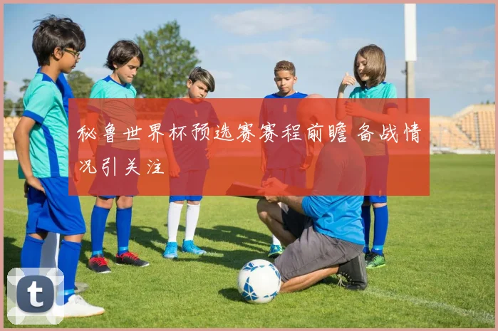 秘鲁世界杯预选赛赛程前瞻 备战情况引关注