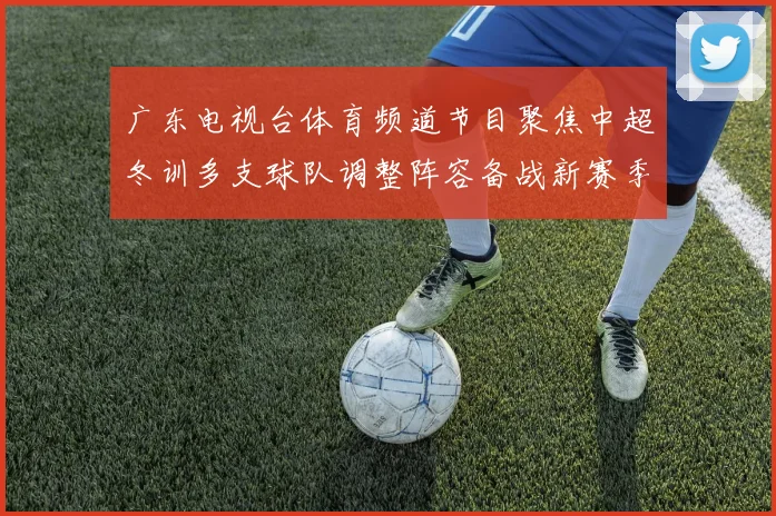 广东电视台体育频道节目聚焦中超冬训多支球队调整阵容备战新赛季