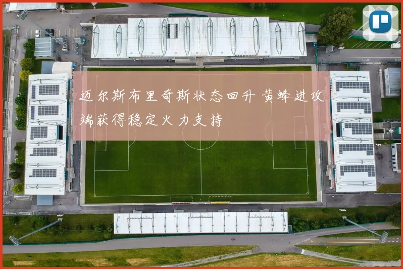 迈尔斯布里奇斯状态回升 黄蜂进攻端获得稳定火力支持