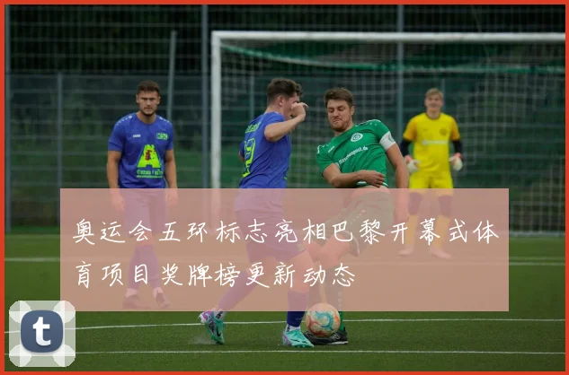 奥运会五环标志亮相巴黎开幕式体育项目奖牌榜更新动态