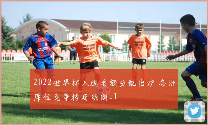 2022世界杯入选名额分配出炉 各洲席位竞争格局明朗_1