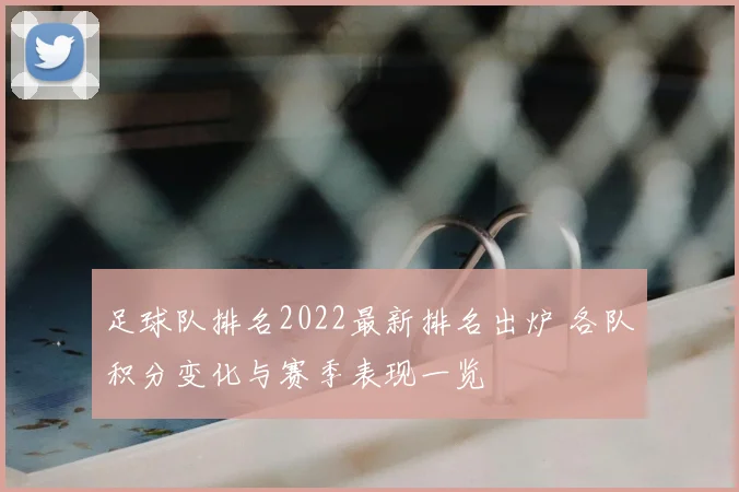 足球队排名2022最新排名出炉 各队积分变化与赛季表现一览